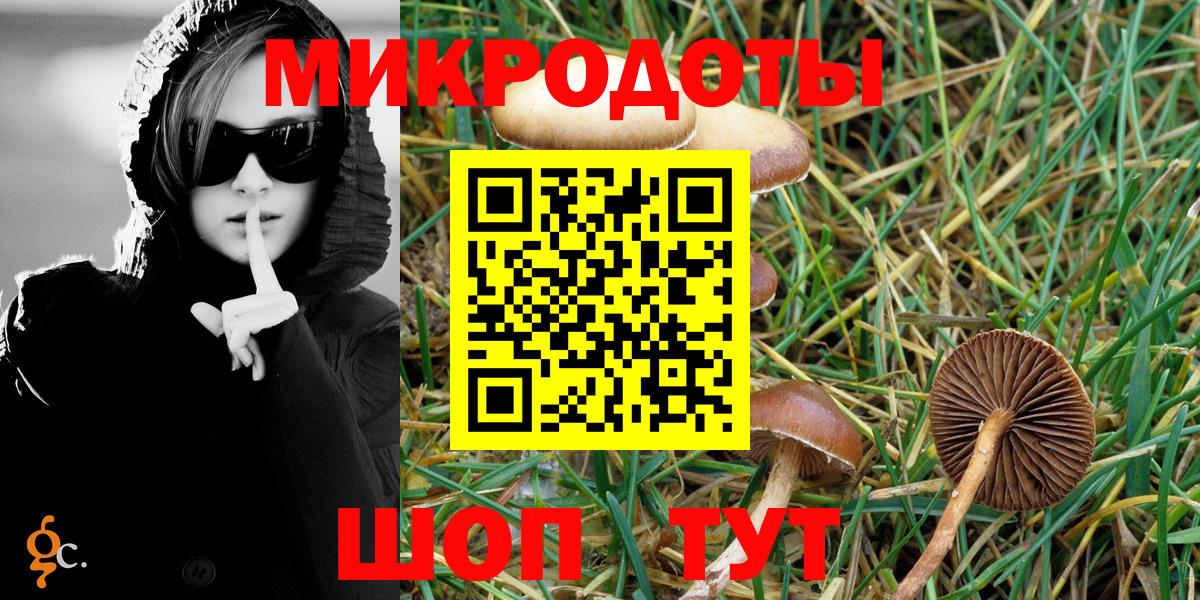 Чебаркуль  Псилоцибиновые грибы Psilocybe  Псилоцибиновые грибы мицелий  Вход с VPN 
