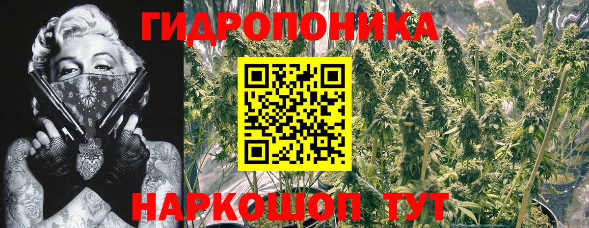 Канабис Amnesia  Канабис планчик  Шишки марихуана тримм  Чебаркуль  Вход с VPN 